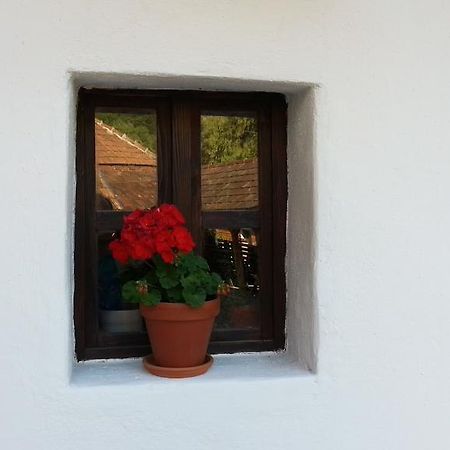 Zempleni Pitvaros Piheno Telkibanya Bagian luar foto