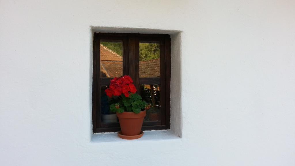 Zempleni Pitvaros Piheno Telkibanya Bagian luar foto